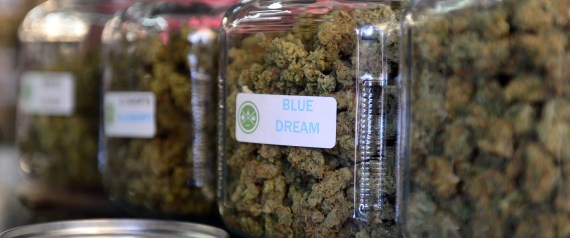 The highly-rated strain of medical marijuana 'Blue Dream' is displayed among others in glass jars at Los Angeles' first-ever cannabis farmer's market at the West Coast Collective medical marijuana dispensary, on the fourth of July, or Independence Day, in Los Angeles, California on July 4, 2014 where organizer's of the 3-day event plan to showcase high quality cannabis from growers and vendors throughout the state. A vendor is seen here responding to questions and offering a whiff of the strain | FREDERIC J. BROWN via Getty Images